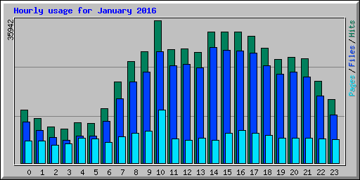 Hourly usage for January 2016